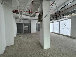 The Central (D1), Retail #454486731